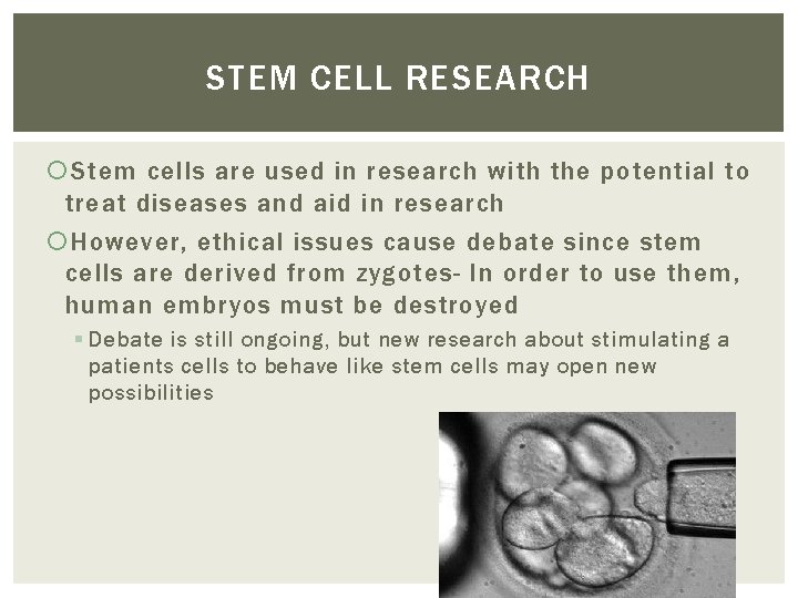 STEM CELL RESEARCH Stem cells are used in research with the potential to treat