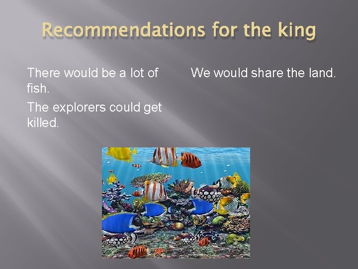 Recommendations for the king There would be a lot of fish. The explorers could