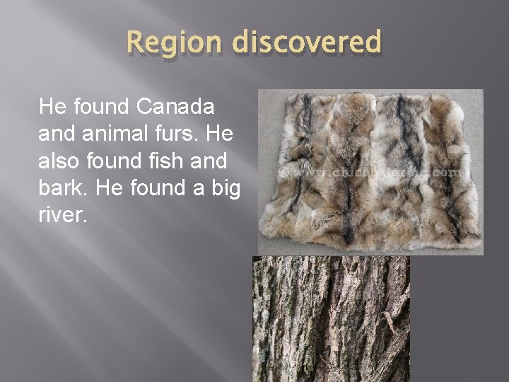 Region discovered He found Canada and animal furs. He also found fish and bark.