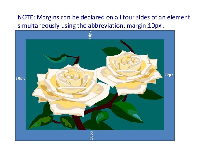 10 px NOTE: Margins can be declared on all four sides of an element