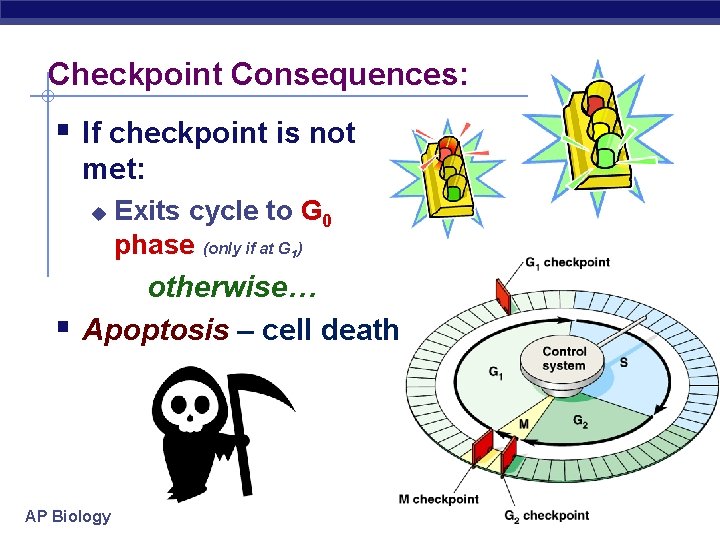 Checkpoint Consequences: § If checkpoint is not met: u Exits cycle to G 0