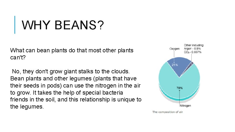 WHY BEANS? What can bean plants do that most other plants can't? No, they