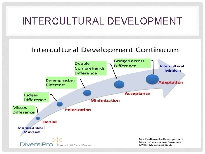 INTERCULTURAL DEVELOPMENT 