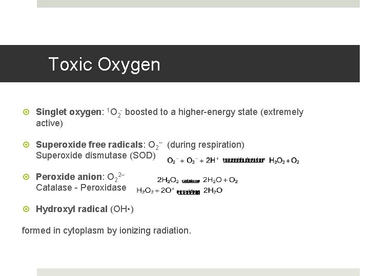 Toxic Oxygen Singlet oxygen: 1 O 2 - boosted to a higher-energy state (extremely