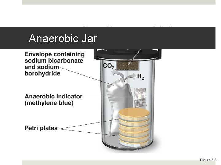 Anaerobic Jar Figure 6. 6 