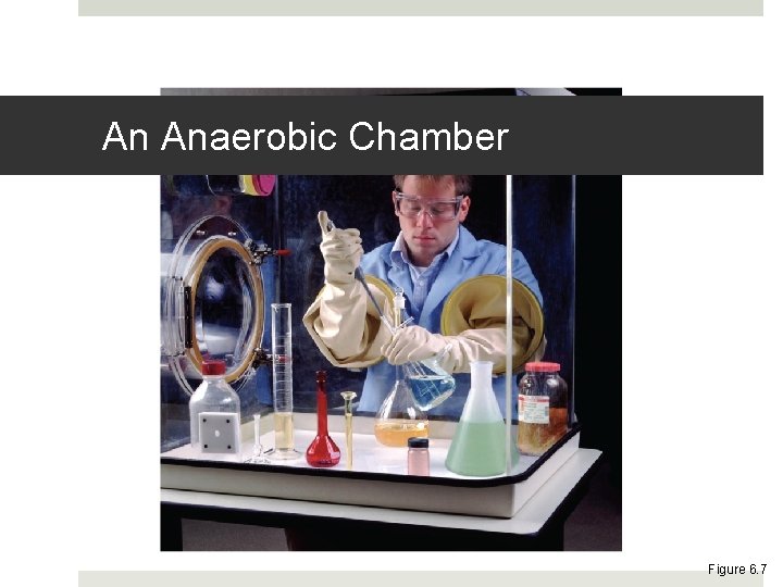 An Anaerobic Chamber Figure 6. 7 