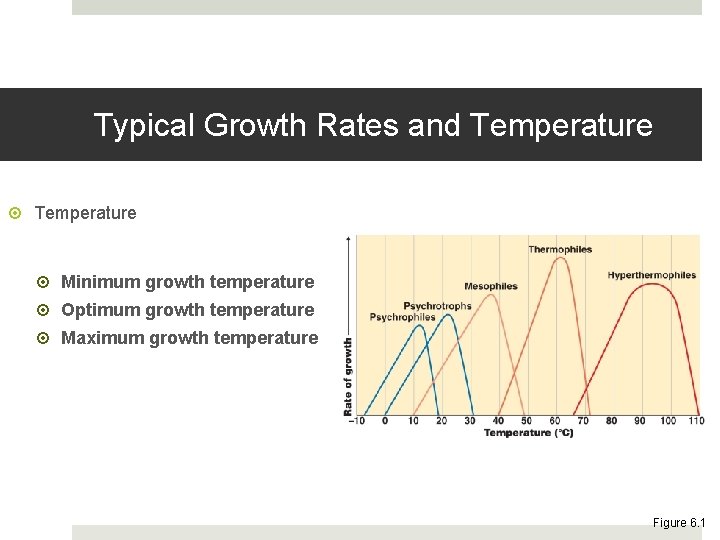 Typical Growth Rates and Temperature Minimum growth temperature Optimum growth temperature Maximum growth temperature