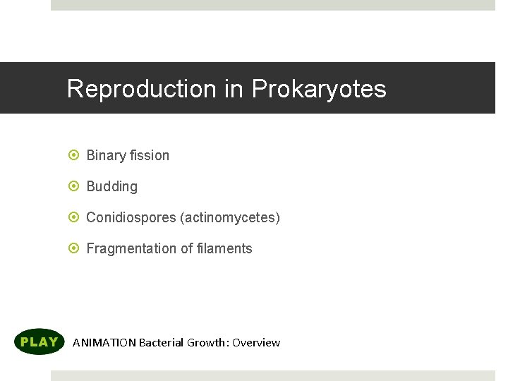 Reproduction in Prokaryotes Binary fission Budding Conidiospores (actinomycetes) Fragmentation of filaments ANIMATION Bacterial Growth: