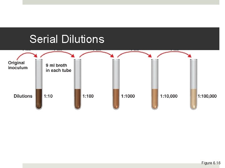 Serial Dilutions Figure 6. 16 