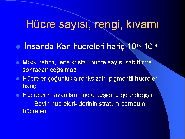 Hücre sayısı, rengi, kıvamı l İnsanda Kan hücreleri hariç 1013 -1014 MSS, retina, lens