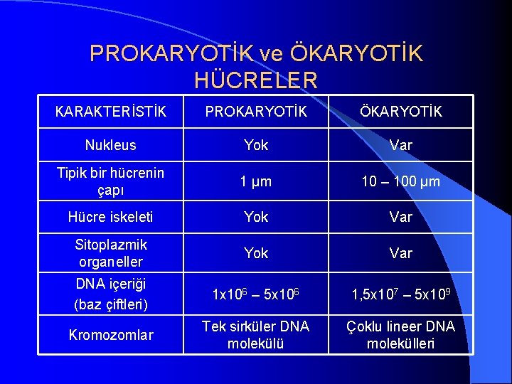 PROKARYOTİK ve ÖKARYOTİK HÜCRELER KARAKTERİSTİK PROKARYOTİK ÖKARYOTİK Nukleus Yok Var Tipik bir hücrenin çapı