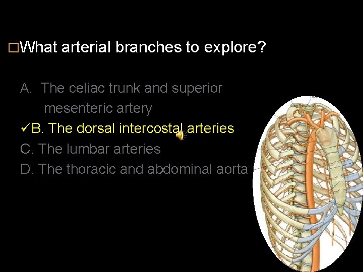 �What arterial branches to explore? A. The celiac trunk and superior mesenteric artery ü