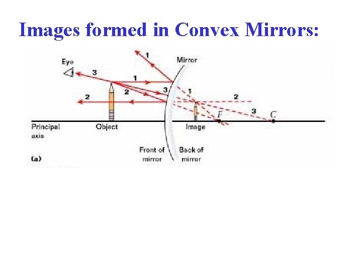 Images formed in Convex Mirrors: 