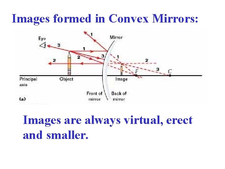 Images formed in Convex Mirrors: Images are always virtual, erect and smaller. 