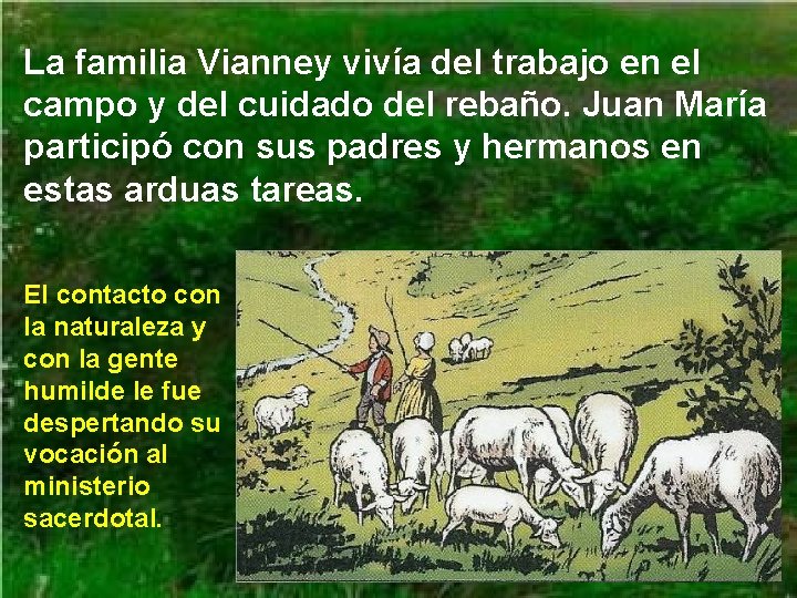 La familia Vianney vivía del trabajo en el campo y del cuidado del rebaño.