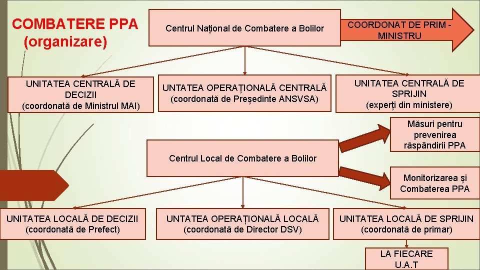 COMBATERE PPA (organizare) UNITATEA CENTRALĂ DE DECIZII (coordonată de Ministrul MAI) Centrul Național de