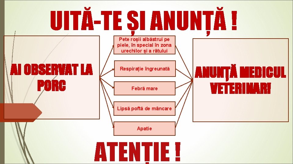 UITĂ-TE ȘI ANUNȚĂ ! Pete roșii albăstrui pe piele, în special în zona urechilor