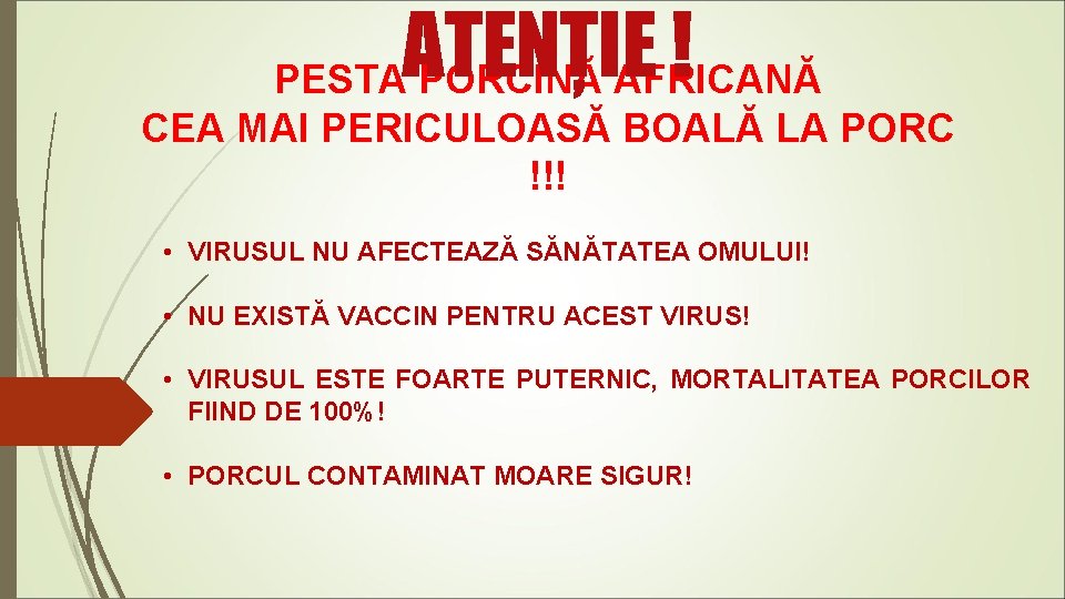 ATENȚIE ! PESTA PORCINĂ AFRICANĂ CEA MAI PERICULOASĂ BOALĂ LA PORC !!! • VIRUSUL