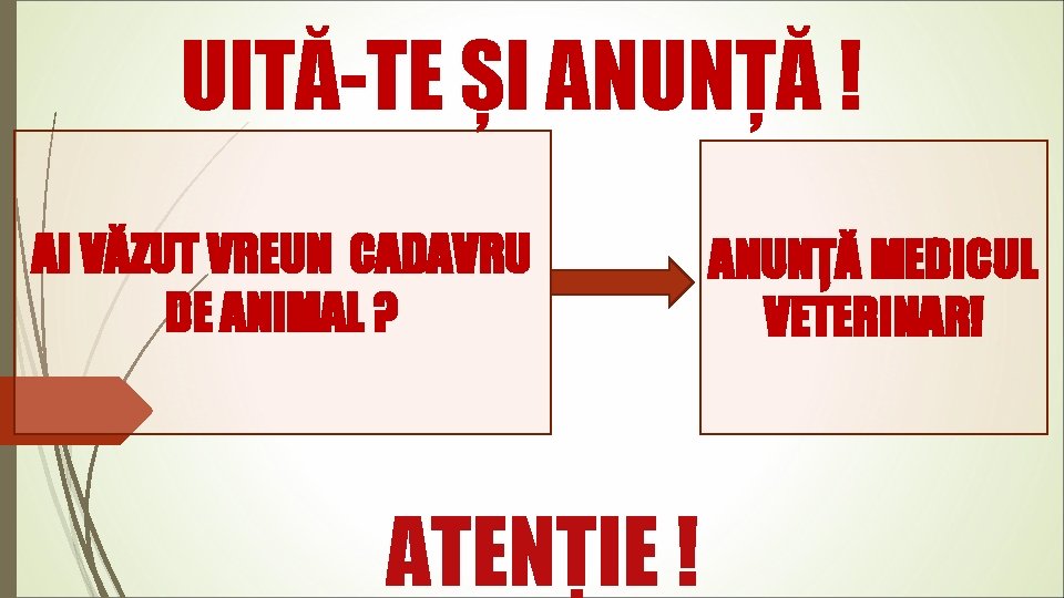 UITĂ-TE ȘI ANUNȚĂ ! AI VĂZUT VREUN CADAVRU DE ANIMAL ? ATENȚIE ! ANUNȚĂ