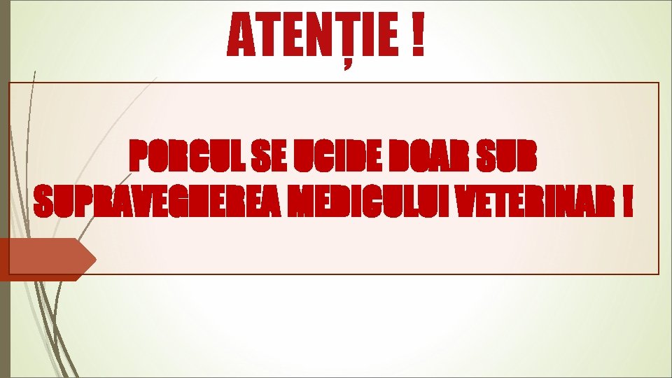 ATENȚIE ! PORCUL SE UCIDE DOAR SUB SUPRAVEGHEREA MEDICULUI VETERINAR ! 