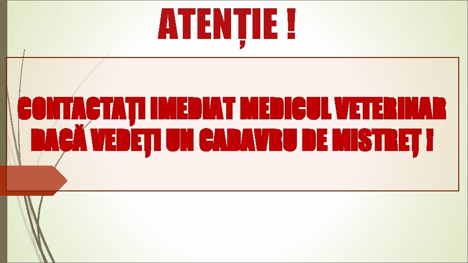 ATENȚIE ! CONTACTAȚI IMEDIAT MEDICUL VETERINAR DACĂ VEDEȚI UN CADAVRU DE MISTREȚ ! 