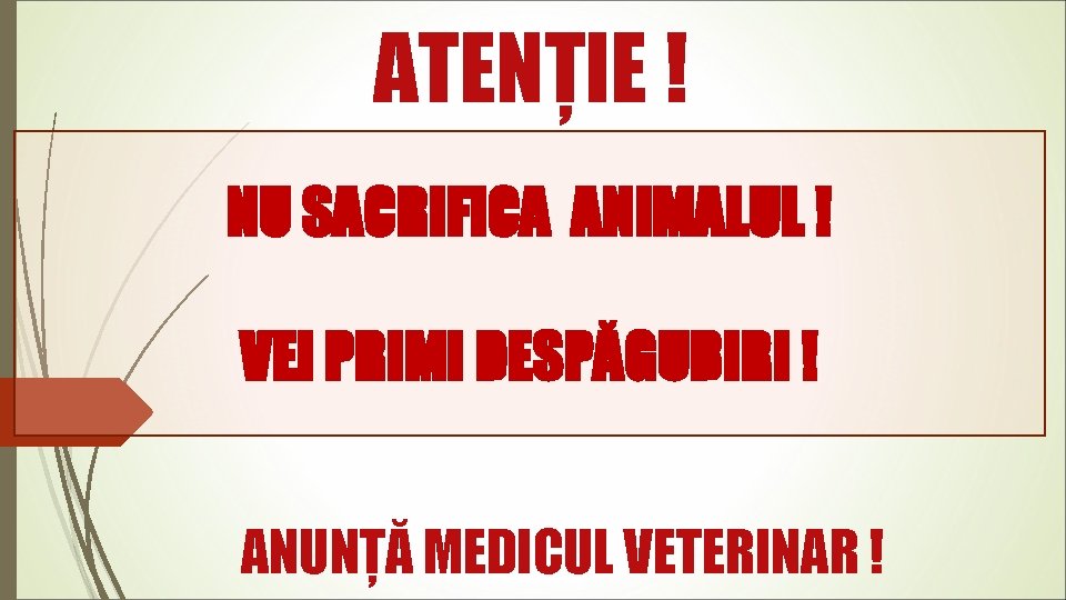 ATENȚIE ! NU SACRIFICA ANIMALUL ! VEI PRIMI DESPĂGUBIRI ! ANUNȚĂ MEDICUL VETERINAR !