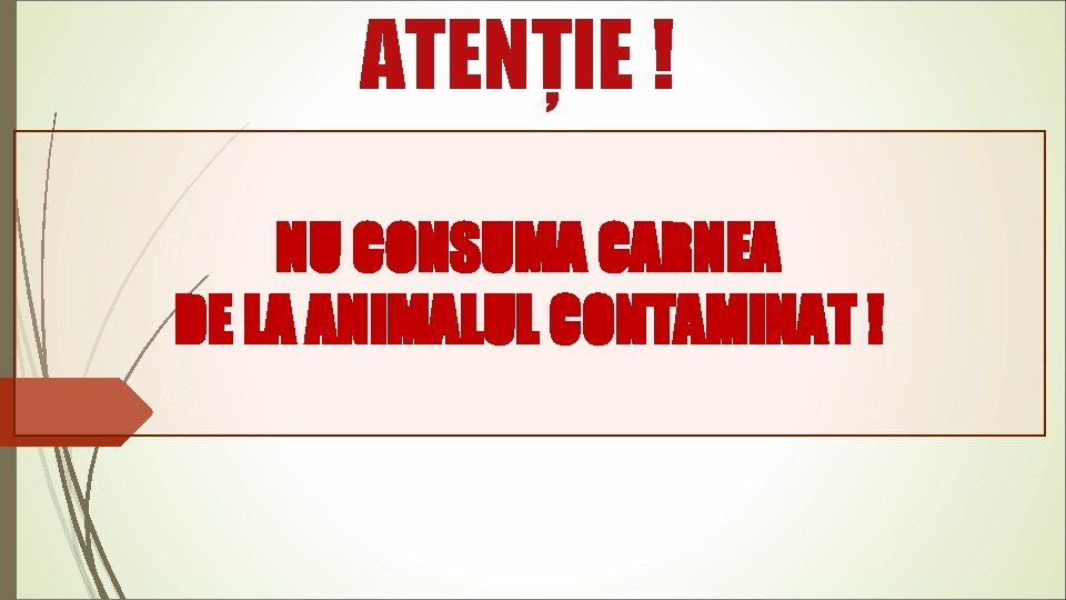 ATENȚIE ! NU CONSUMA CARNEA DE LA ANIMALUL CONTAMINAT ! 