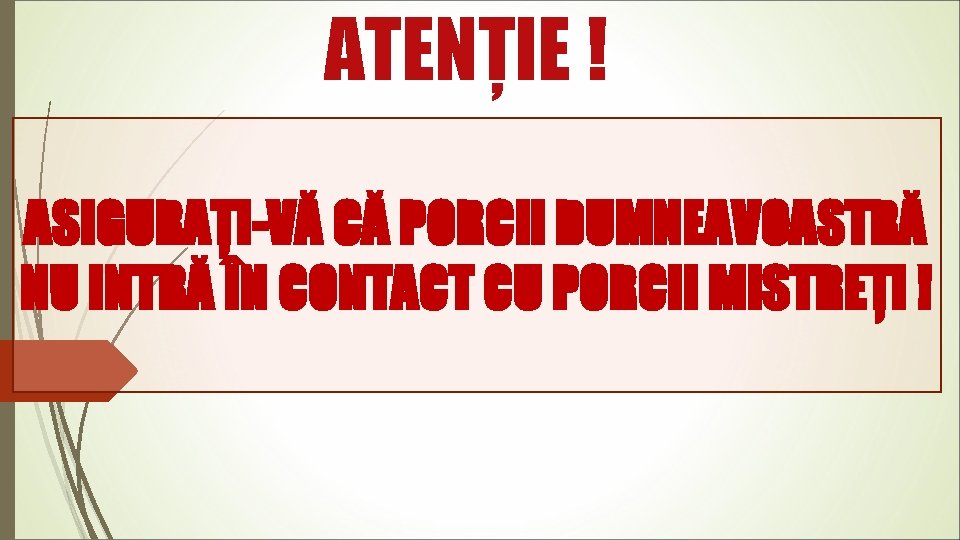 ATENȚIE ! ASIGURAȚI-VĂ CĂ PORCII DUMNEAVOASTRĂ NU INTRĂ ÎN CONTACT CU PORCII MISTREȚI !