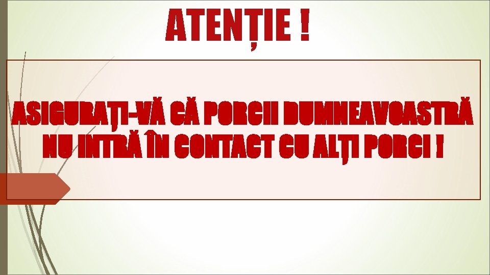 ATENȚIE ! ASIGURAȚI-VĂ CĂ PORCII DUMNEAVOASTRĂ NU INTRĂ ÎN CONTACT CU ALȚI PORCI !