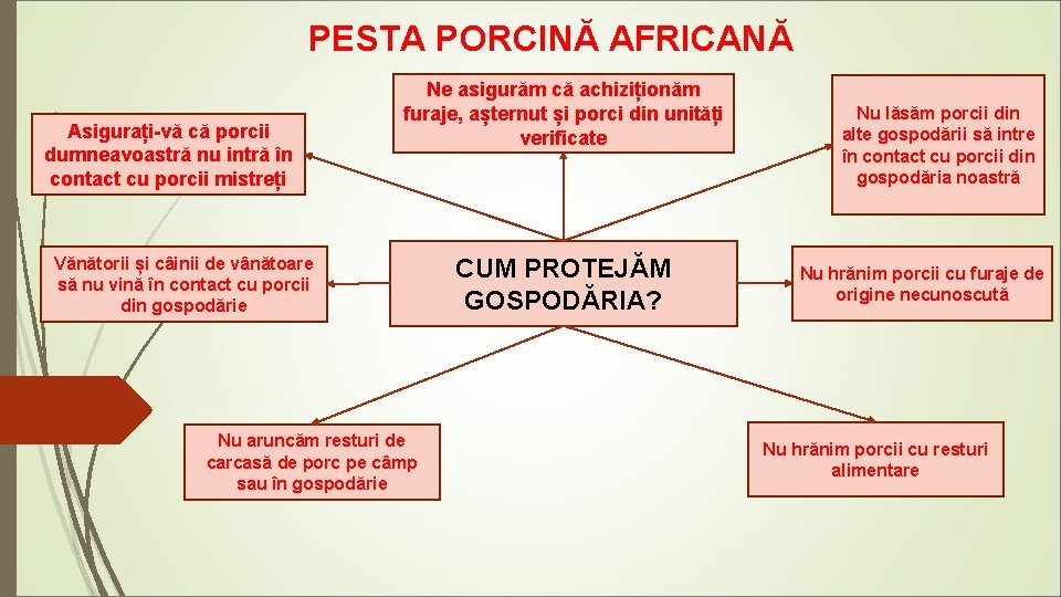 PESTA PORCINĂ AFRICANĂ Asigurați-vă că porcii dumneavoastră nu intră în contact cu porcii mistreți