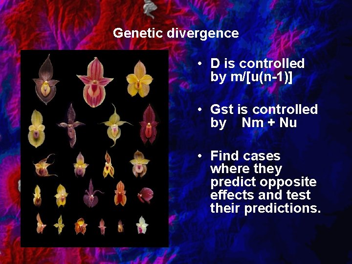 Genetic divergence • D is controlled by m/[u(n-1)] • Gst is controlled by Nm