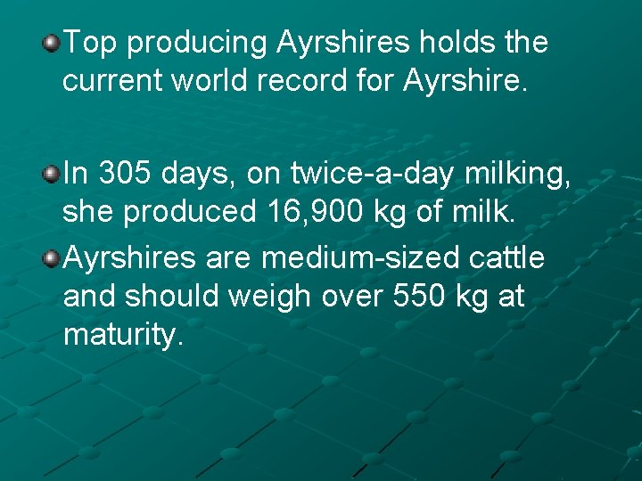 Top producing Ayrshires holds the current world record for Ayrshire. In 305 days, on