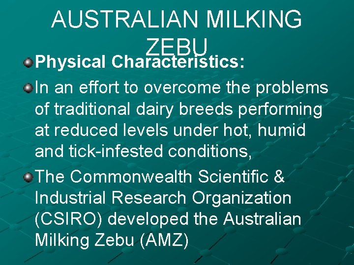 AUSTRALIAN MILKING ZEBU Physical Characteristics: In an effort to overcome the problems of traditional