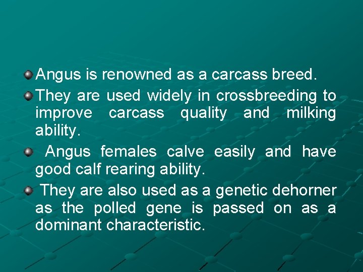 Angus is renowned as a carcass breed. They are used widely in crossbreeding to