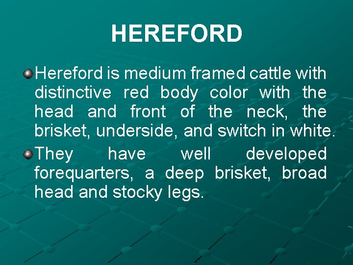 HEREFORD Hereford is medium framed cattle with distinctive red body color with the head