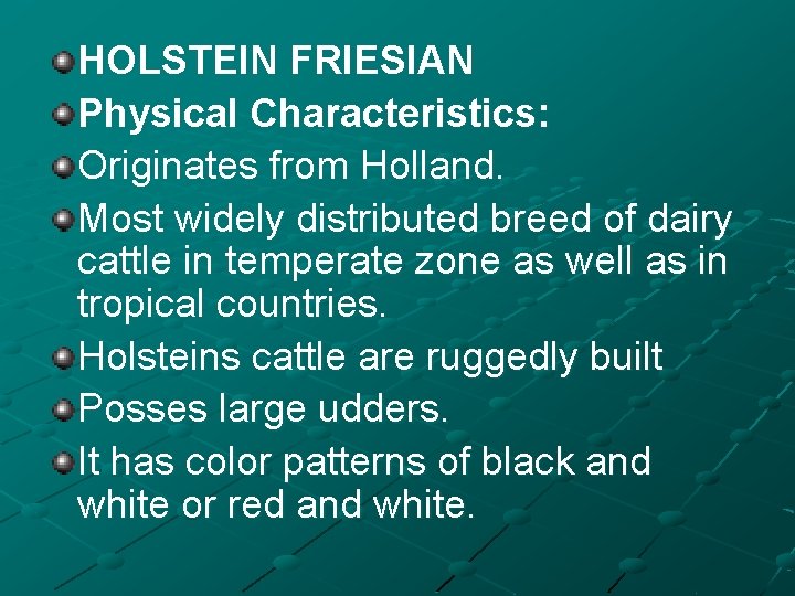 HOLSTEIN FRIESIAN Physical Characteristics: Originates from Holland. Most widely distributed breed of dairy cattle