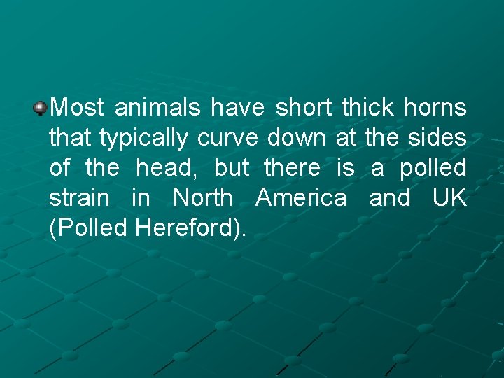 Most animals have short thick horns that typically curve down at the sides of