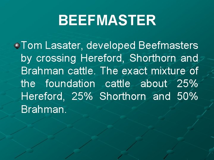 BEEFMASTER Tom Lasater, developed Beefmasters by crossing Hereford, Shorthorn and Brahman cattle. The exact