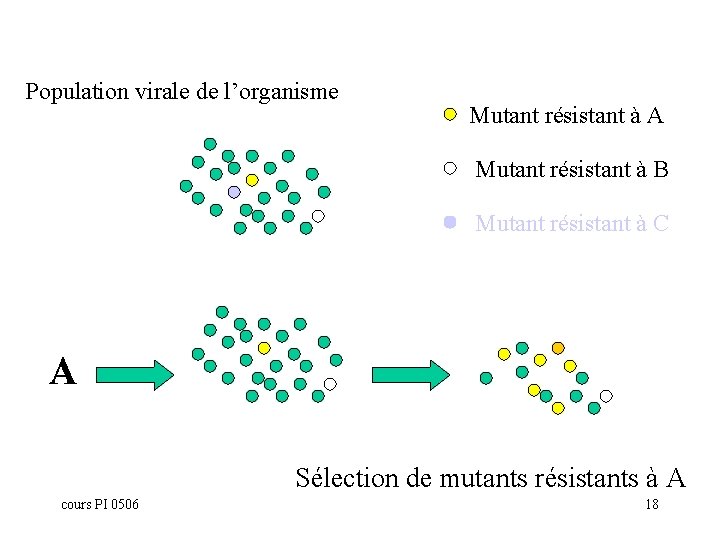 Population virale de l’organisme Mutant résistant à A Mutant résistant à B Mutant résistant