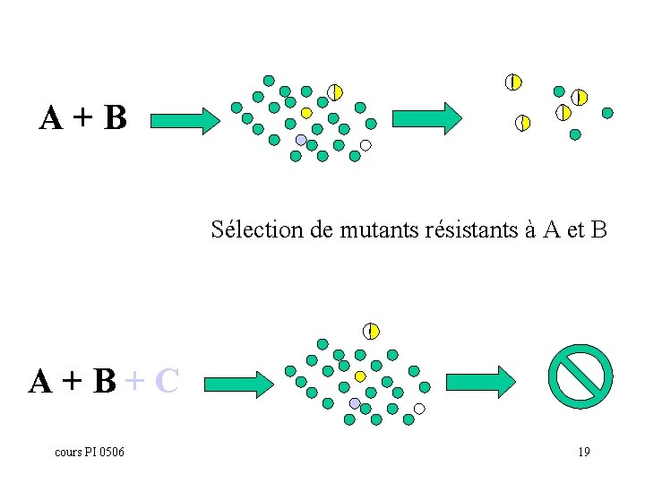 A+B Sélection de mutants résistants à A et B A+B+C cours PI 0506 19