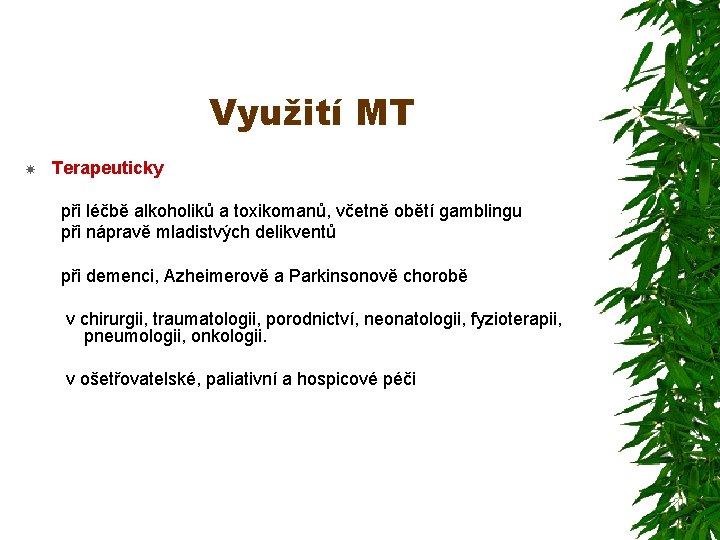 Využití MT Terapeuticky při léčbě alkoholiků a toxikomanů, včetně obětí gamblingu při nápravě mladistvých