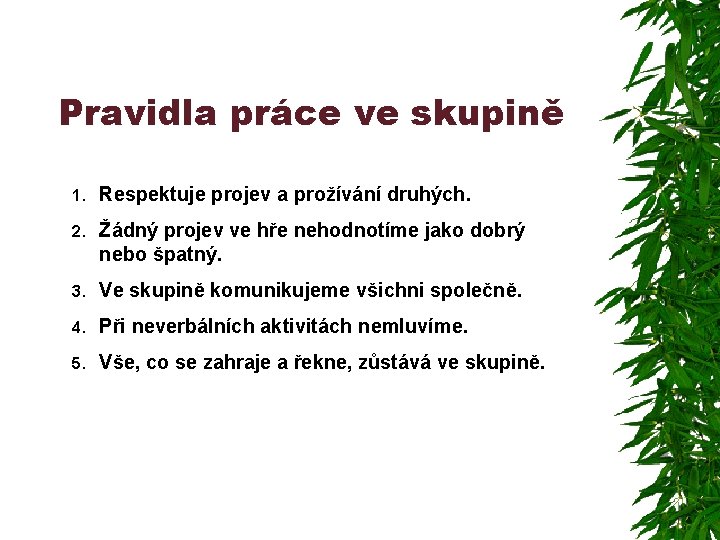 Pravidla práce ve skupině 1. Respektuje projev a prožívání druhých. 2. Žádný projev ve