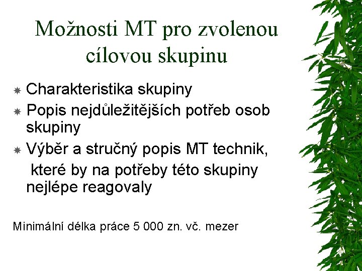 Možnosti MT pro zvolenou cílovou skupinu Charakteristika skupiny Popis nejdůležitějších potřeb osob skupiny Výběr