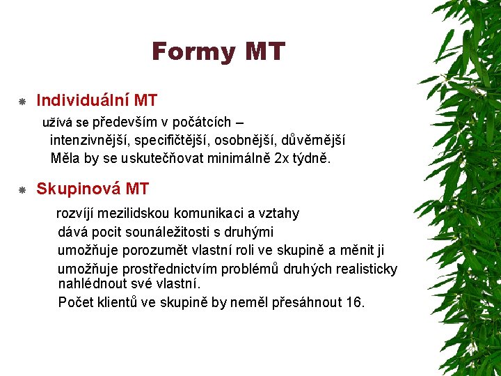 Formy MT Individuální MT užívá se především v počátcích – intenzivnější, specifičtější, osobnější, důvěrnější