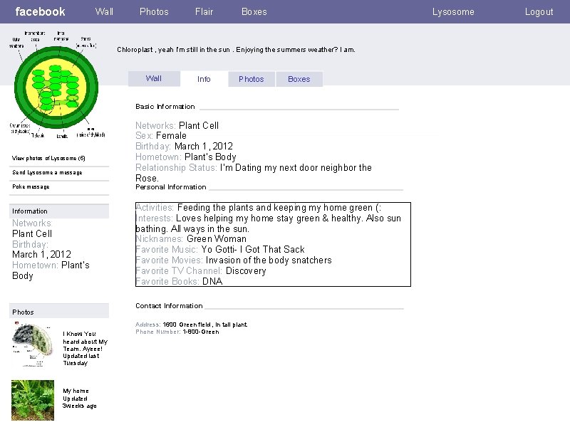 facebook Wall Photos Flair Boxes Lysosome Chloroplast , yeah I’m still in the sun.