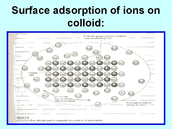 Surface adsorption of ions on colloid: 