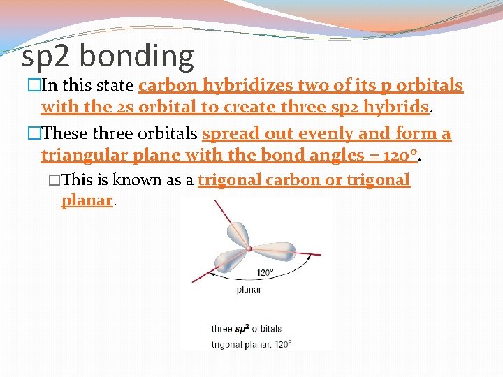 sp 2 bonding �In this state carbon hybridizes two of its p orbitals with