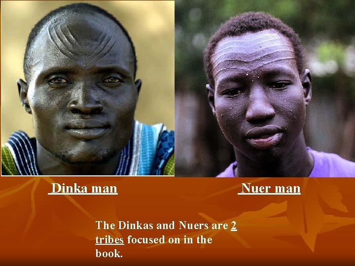 Dinka man The Dinkas and Nuers are 2 tribes focused on in the book.