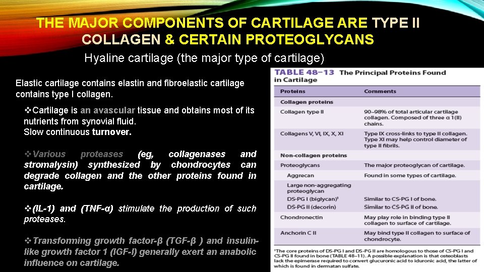 THE MAJOR COMPONENTS OF CARTILAGE ARE TYPE II COLLAGEN & CERTAIN PROTEOGLYCANS Hyaline cartilage
