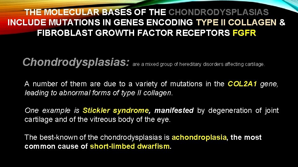 THE MOLECULAR BASES OF THE CHONDRODYSPLASIAS INCLUDE MUTATIONS IN GENES ENCODING TYPE II COLLAGEN